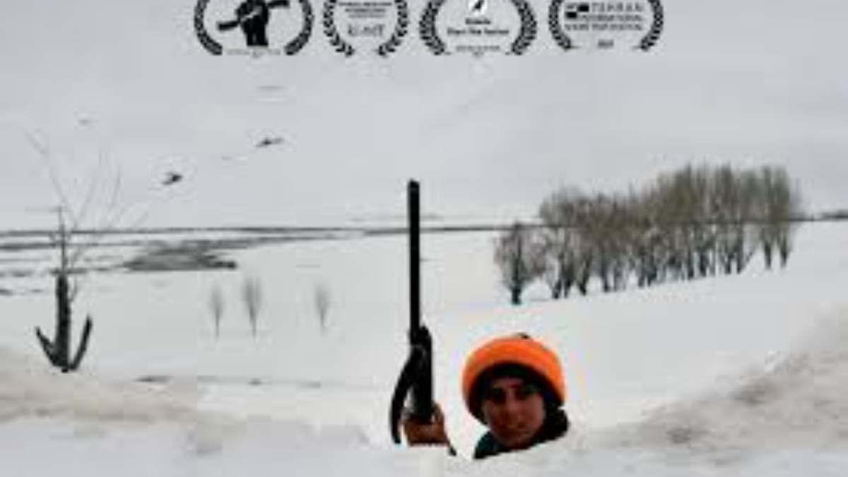 Vadiar