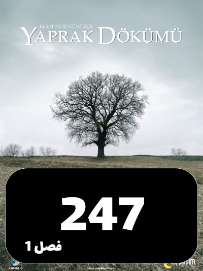 Bargrizan S01 E247