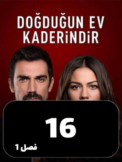 khaneman S01 E16