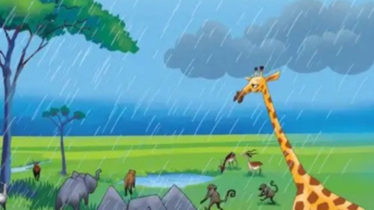 Ginger Zarafeye Mehraban